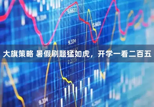 大旗策略 暑假刷题猛如虎，开学一看二百五