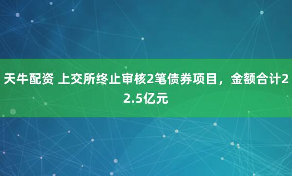 天牛配资 上交所终止审核2笔债券项目，金额合计22.5亿元